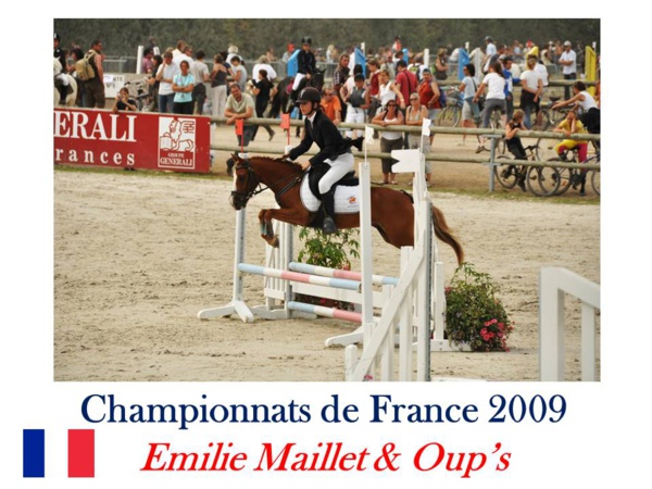 LE TEAM COMPETITION EQUINA LE TEAM COMPETITION EQUINA