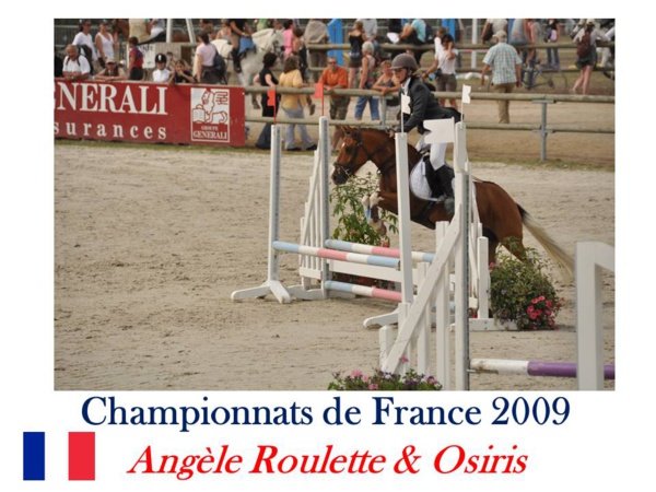 LE TEAM COMPETITION EQUINA