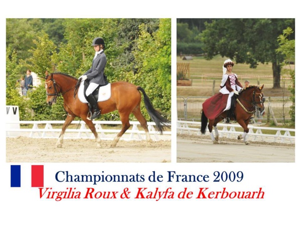 LE TEAM COMPETITION EQUINA