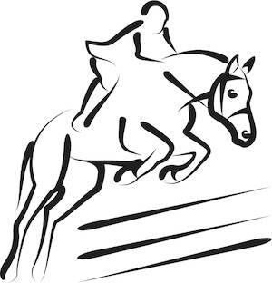 LE TEAM COMPETITION EQUINA LE TEAM COMPETITION EQUINA