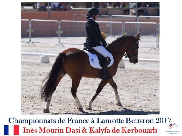 LE TEAM COMPETITION EQUINA