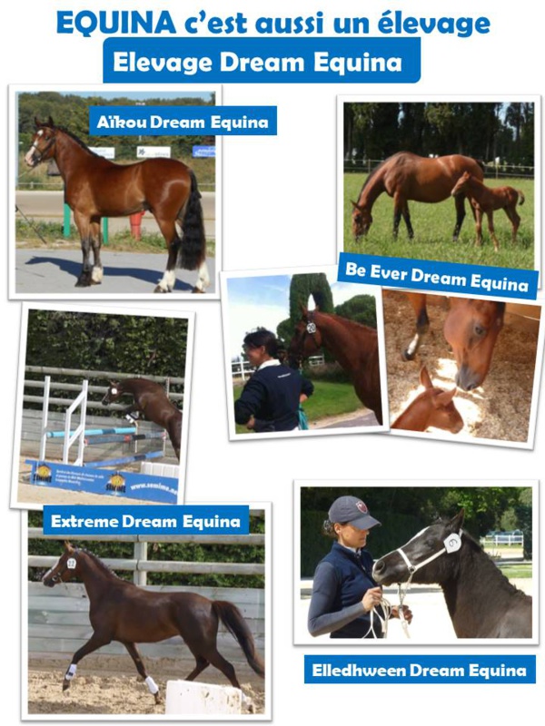 L'élevage L'élevage