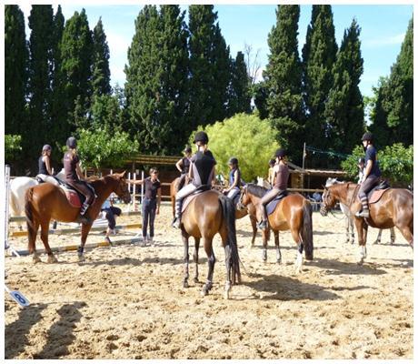 Des Stages ouvert à tous pour les vacances !!! c'est bientôt les vacances ,profitez en pour découvrir l'équitation !!!