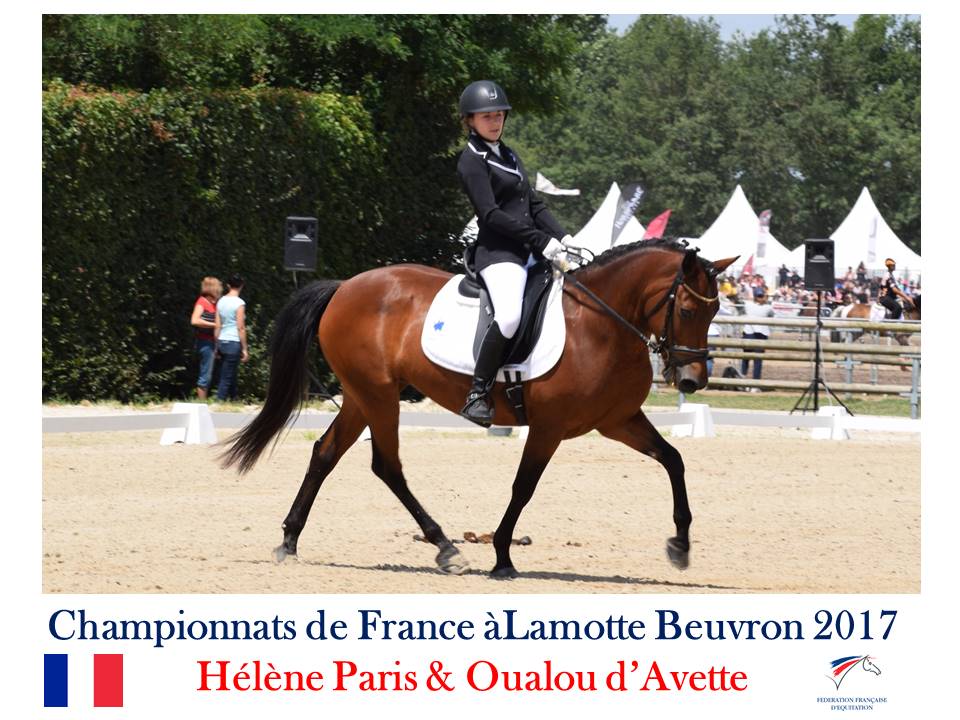 LE TEAM COMPETITION EQUINA