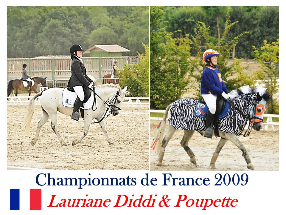 LE TEAM COMPETITION EQUINA