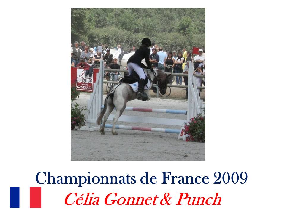 LE TEAM COMPETITION EQUINA