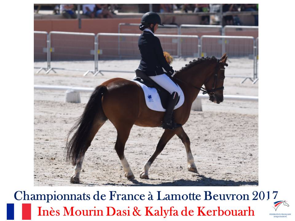 LE TEAM COMPETITION EQUINA