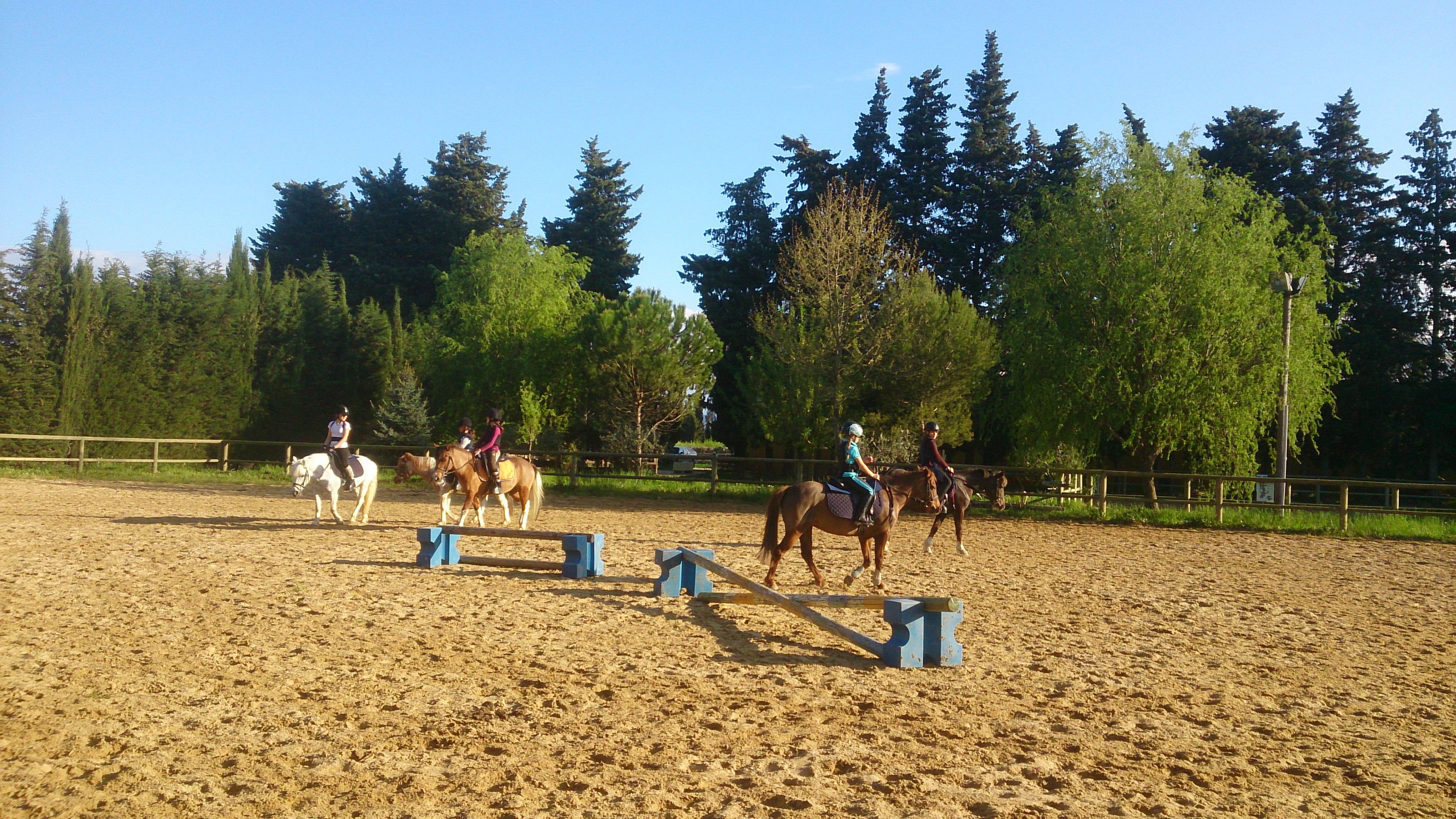 L'été 100% passion à l'ombre du manège !