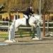 LE TEAM EQUINA LE TEAM EQUINA