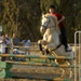 Images 2005 Images 2005